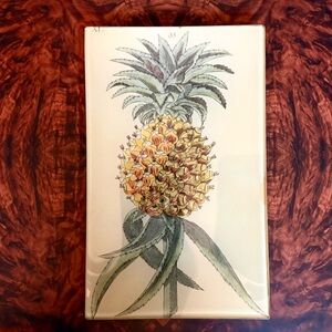 John Derian Botanical Pineapple Art Glass Plate - Yellow & Green NEW